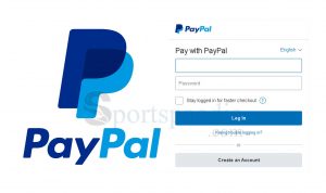 Log into PayPal